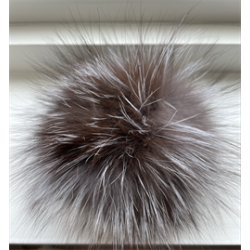 Stor VASKEBJRN dusk Mrk brun med slvgr spisser